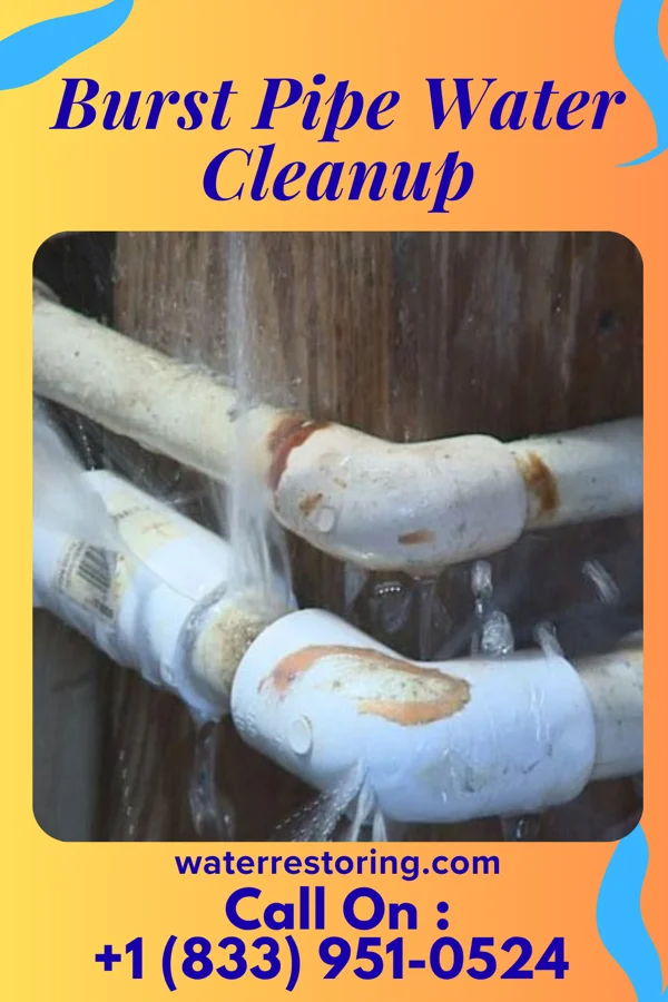 Burst Pipe Water Cleanup in Chugwater, WY