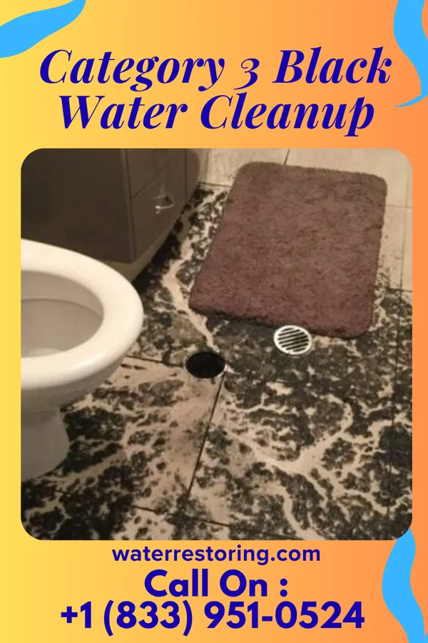 Category 3 Black Water Cleanup in Chugwater, WY