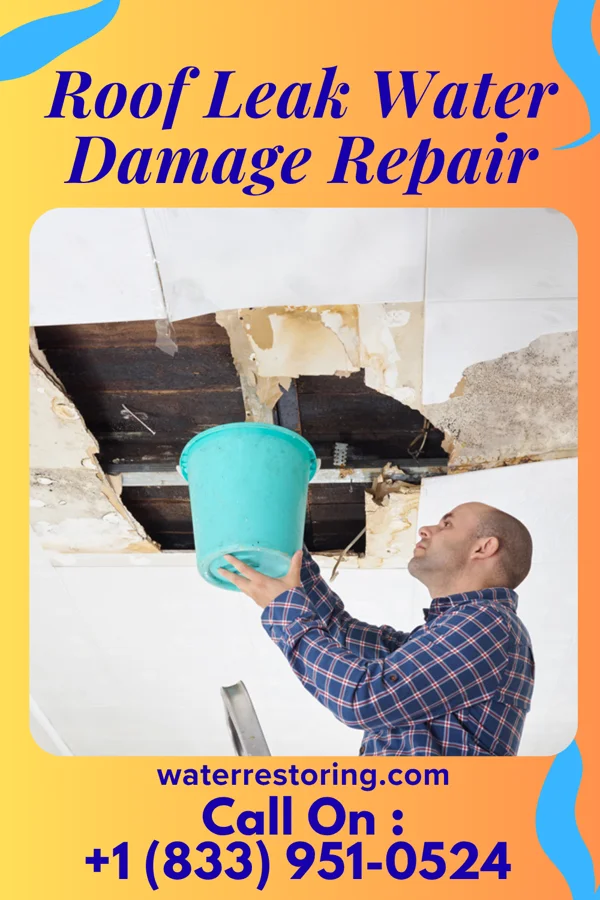 Roof Leak Water Damage Repair in Chugwater, WY