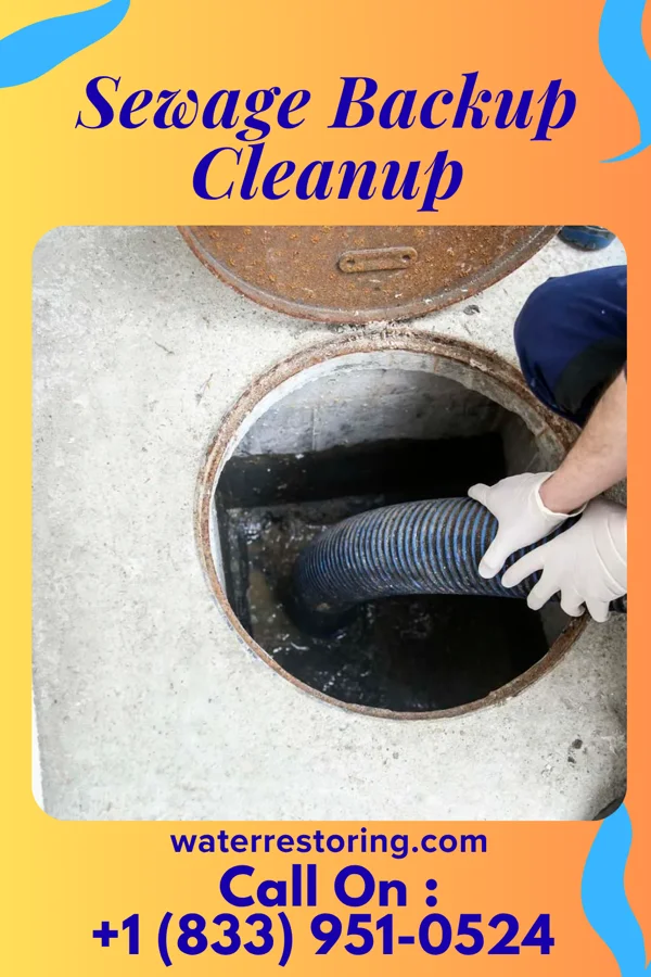 Sewage Backup Cleanup in Chugwater, WY